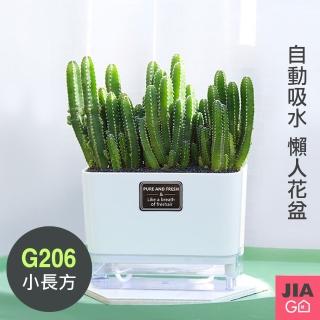 【JIAGO】透明雙層磁吸自動吸水懶人花盆(G206長方形小)