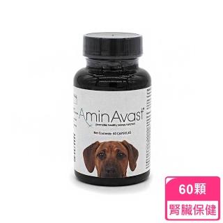 【美國 AminAvast】胺腎 1000mg 60顆 中大型犬用(胺腎 中老年貓犬急性 慢性腎衰竭維護)