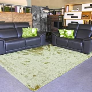 【Fuwaly】費斯特-綠地毯-160x230cm(簡約 素色 柔軟 客廳 起居室)
