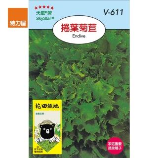 【特力屋】花田綠地種子-捲葉菊苣