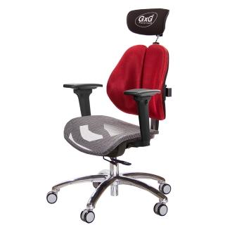 【GXG 吉加吉】雙軸枕 中灰網座 鋁腳/3D升降扶手 雙背工學椅(TW-2706 LUA9)
