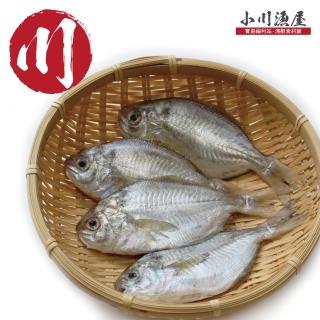 【小川漁屋】野生肉魚12包(600g±10%/包/4-6尾)
