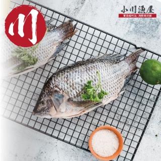 【小川漁屋】台灣鯛魚12尾(250-300g/尾)