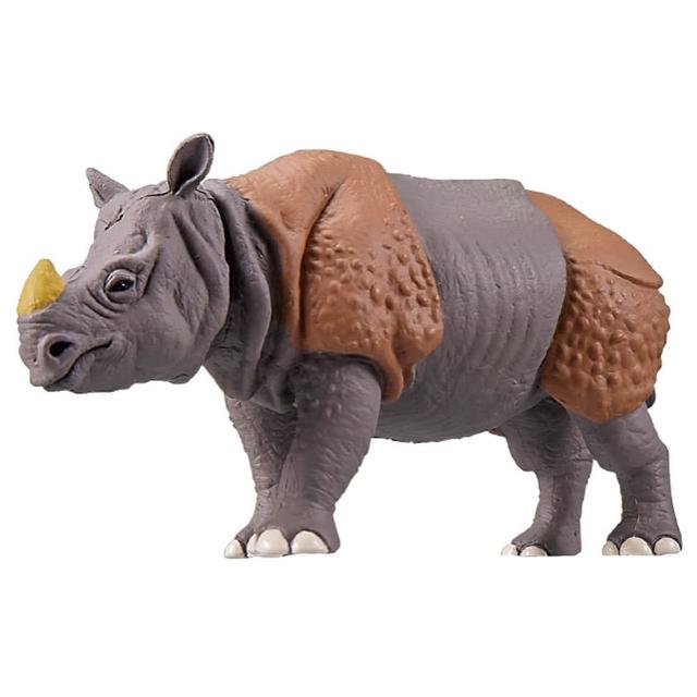 【TAKARA TOMY】ANIA 多美動物 ANIA冒險王國 犀牛(男孩 動物模型)