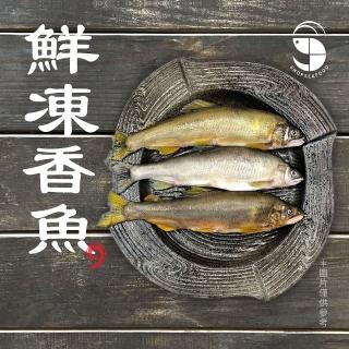 【蝦拼海鮮】宜蘭公香魚（12尾/盒）