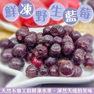 【WANG 蔬果】加拿大冷凍野生藍莓1kgx1包(1kg/包_家庭號)