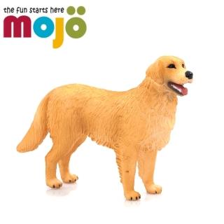 【Mojo Fun】動物模型-黃金獵犬
