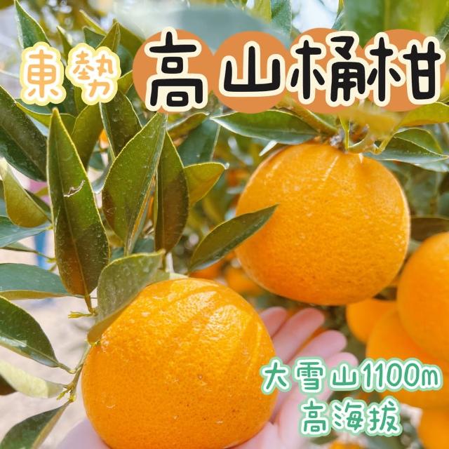 【Baby 童衣】東勢 高山桶柑 橘子禮盒(七斤)