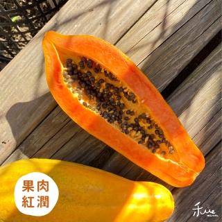 【禾ME】外銷級台農二號木瓜10斤(網室栽種/10-12顆)