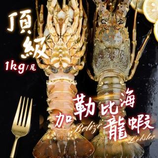 【一手鮮貨】奢華加勒比海大龍蝦(3尾組/單尾900-1200g/貝里斯龍蝦)