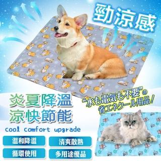 【DTW】寵物冰涼墊-加大款(2入優惠價)