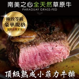 【豪鮮牛肉】南美草原之心熟成菲力厚切15包(200g±10%/包)