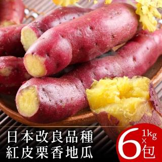 【關東85號】日本改良特A級栗香地瓜1公斤x6包