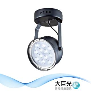 【大巨光】LED 15Wx1 投光燈_LED(LW-11-5143)