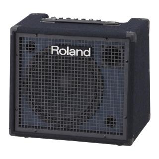 【ROLAND 樂蘭】100W 電子琴音箱(鍵盤音箱 喇叭)