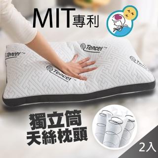 【QIDINA】2入 MIT頂級可水洗天絲鍍鋅獨立筒飯店枕頭SUD(天絲枕 水洗枕 冰絲枕 獨立筒枕)