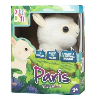【PUGS AT PLAY】活潑寵物小羊駝 - Paris(絨毛寵物)