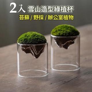 【沐森Green Life】2入組 雪山造型玻璃花器 微景觀 花器(不含苔蘚 多肉植物)