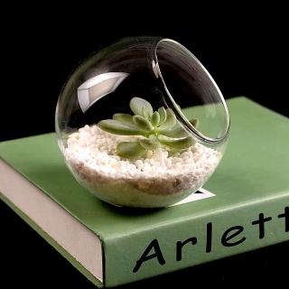 【沐森Green Life】12cm斜口平盆玻璃缸 花器 微景觀(可當魚缸)