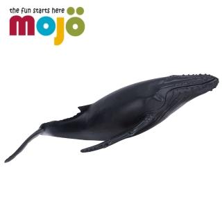 【Mojo Fun】動物模型-座頭鯨