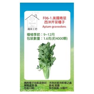 【蔬菜工坊】F06-1.美國青莖西洋芹菜種子1.6克(約4000顆)