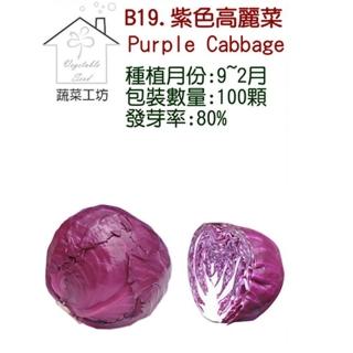 【蔬菜工坊】B19紫色高麗菜種子