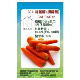 【蔬菜工坊】C01.紅蘿蔔種子(胡蘿蔔)