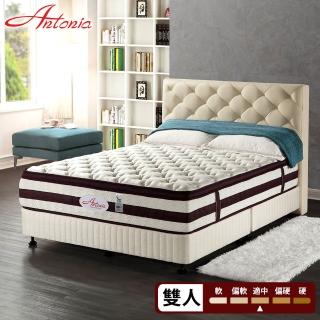 【Antonia】恆溫蠶絲乳膠AGRO獨立筒床墊(雙人5尺)