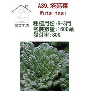【蔬菜工坊】A39.塔菇菜種子(日本進口蹋稞菜 、烏塌菜)