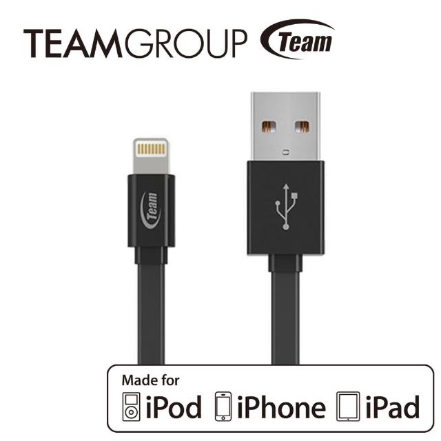 【TEAM十銓科技】Apple原廠認證充電/傳輸線 黑色(TWC08)