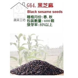 【蔬菜工坊】G64.黑芝麻種子(胡麻)