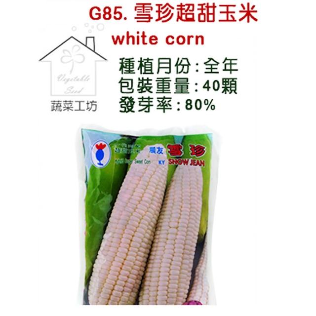 【蔬菜工坊】G85.雪珍超甜玉米種子(純白色牛奶玉米)