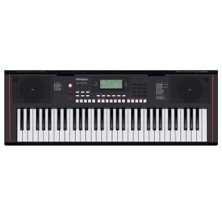 【ROLAND 樂蘭】E-X10 電子琴 61鍵電子琴 自動伴奏鍵盤 入門首選(E-X10 親民平價超高CP值 送延音踏板)