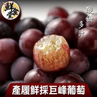 【鮮食堂】彰化大村巨峰葡萄1800gX1箱(酸甜多汁)