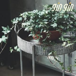 【gin gin】圓盤馬口鐵花架(園藝 造型花架 花盆 植栽 多肉花盆 餐廳 咖啡廳佈置)