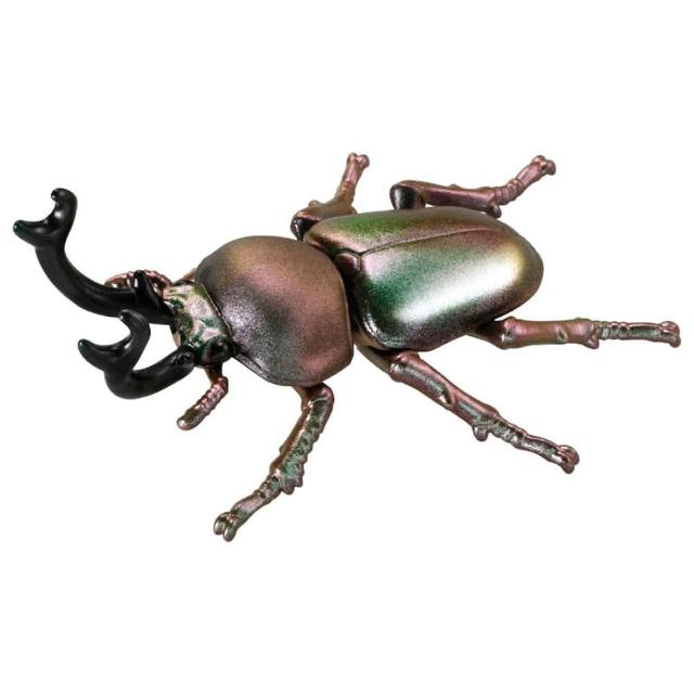 【TAKARA TOMY】ANIA 多美動物 AS-42 彩虹甲蟲(男孩 動物模型)