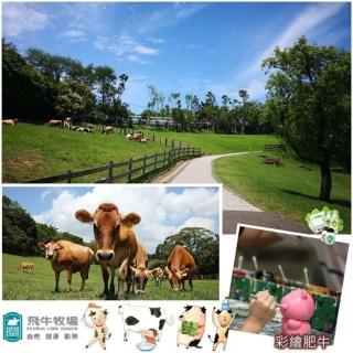 【飛牛牧場】單人入園全票+彩繪肥牛DIY(2張組↘)