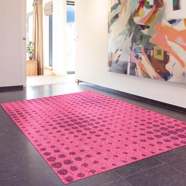 【范登伯格】比利時 諾拉現代地毯(200x290cm)