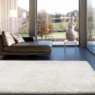 【范登伯格】比利時 嘉年華混織長毛地毯(160x240cm/共7色)