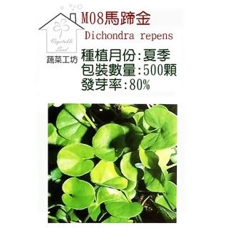 【蔬菜工坊】M08.馬蹄金種子(金錢草)