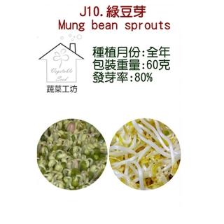 【蔬菜工坊】J10.綠豆芽種子(芽菜種子)