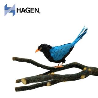 【HAGEN 赫根】Living World 鳥用天然分歧棲木 S號(81540)