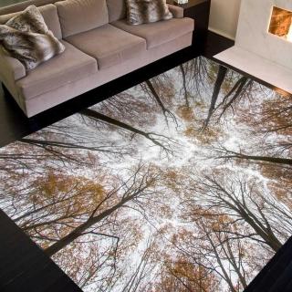 【范登伯格】比利時 專業3D印染絲質地毯-樹枝(150x230cm)