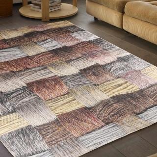 【范登伯格】比利時 專業3D印染絲質地毯-交織(150x230cm)