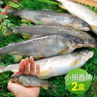 【築地一番鮮】宜蘭純淨爆卵母香魚2盒(11-17尾裝/920g/盒)