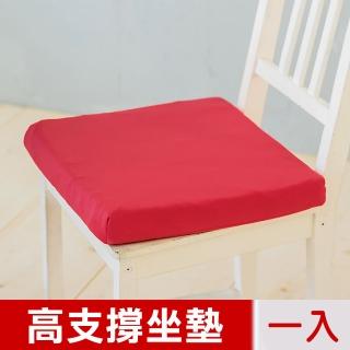 【凱蕾絲帝】台灣製造-久坐專用二合一高支撐記憶聚合紓壓坐墊(棗紅-一入)