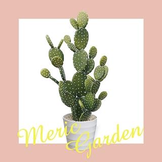 【Meric Garden】北歐風格居家裝飾高仿真大型景觀植栽擺設盆栽（扇型仙人掌）