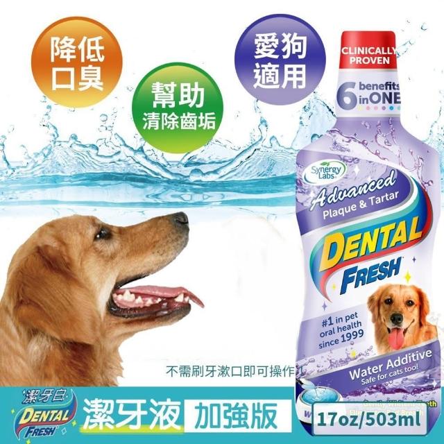 【美國潔牙白Dental Fresh】加強版潔牙液 503ml(2入組)