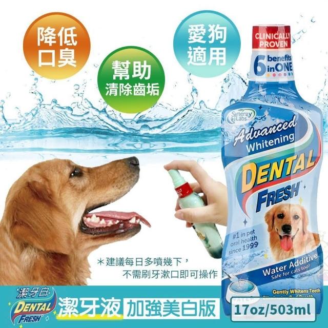 【美國潔牙白Dental Fresh】深層美白潔牙液 503ml(2入組)