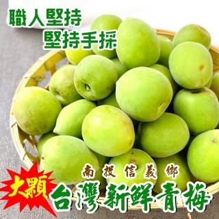 【WANG 蔬果】台灣南投信義鄉大顆青梅(5斤/箱)